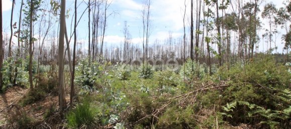 44600m² Land in Albergaria a Velha, Portugal No. 69221 16