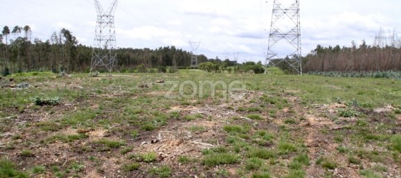 44600m² Land in Albergaria a Velha, Portugal No. 69221 9