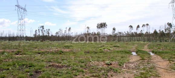 44600m² Land in Albergaria a Velha, Portugal No. 69221 5