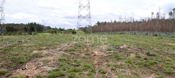 44600m² Land in Albergaria a Velha, Portugal No. 69221 8