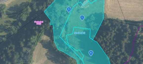 Casa de 4 dormitorios en Stockenboi, Austria No. 197348 22