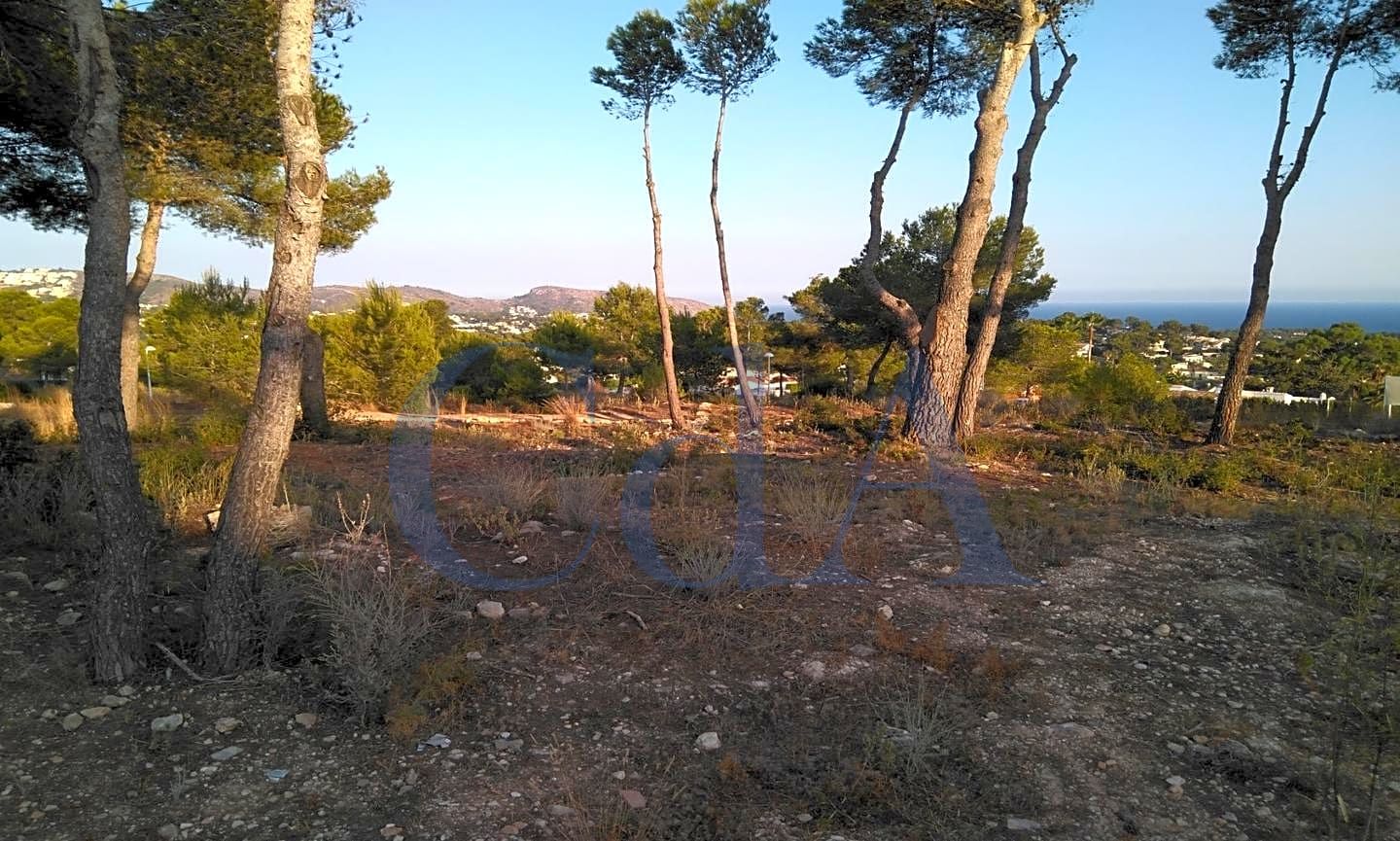 3 bedrooms Villa in Costa Nova, Spain No. 4937