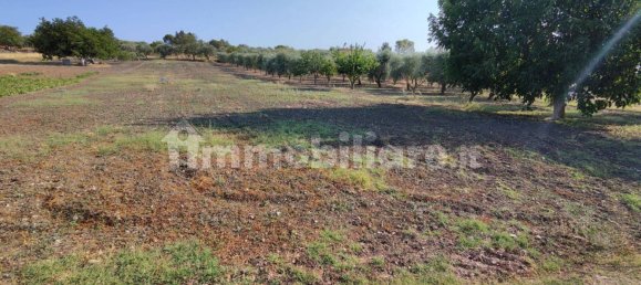 Grundstück in Altamura, Italy 6445m², Nr. 349915 3