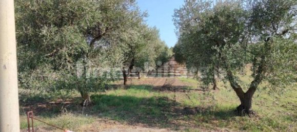 Grundstück in Altamura, Italy 6445m², Nr. 349915 2