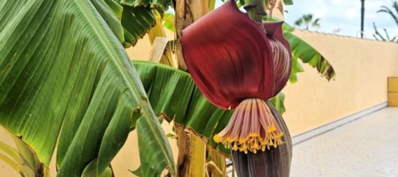 4 Schlafzimmer Haus in Cartagena, Spain, Nr. 191406 37