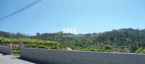 1 Schlafzimmer Haus in Marco de Canaveses, Portugal, Nr. 52097 8