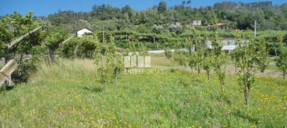 1 Schlafzimmer Haus in Marco de Canaveses, Portugal, Nr. 52097 18