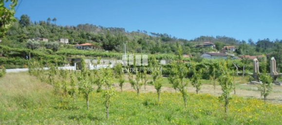 1 Schlafzimmer Haus in Marco de Canaveses, Portugal, Nr. 52097 29