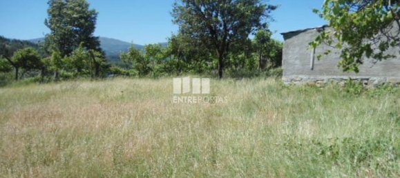 1 Schlafzimmer Haus in Marco de Canaveses, Portugal, Nr. 52097 22