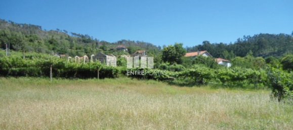 1 Schlafzimmer Haus in Marco de Canaveses, Portugal, Nr. 52097 10