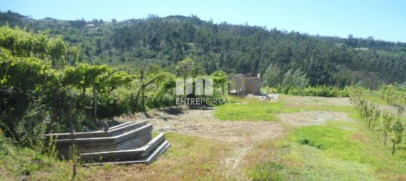 1 Schlafzimmer Haus in Marco de Canaveses, Portugal, Nr. 52097 24