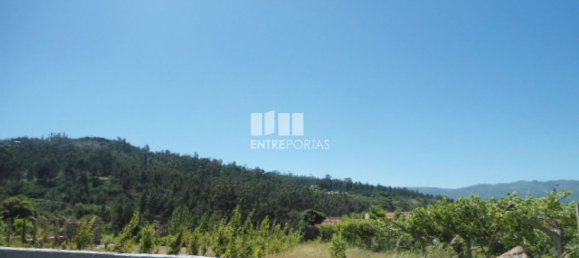 1 Schlafzimmer Haus in Marco de Canaveses, Portugal, Nr. 52097 9