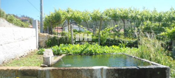 1 Schlafzimmer Haus in Marco de Canaveses, Portugal, Nr. 52097 5