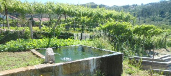 1 Schlafzimmer Haus in Marco de Canaveses, Portugal, Nr. 52097 6