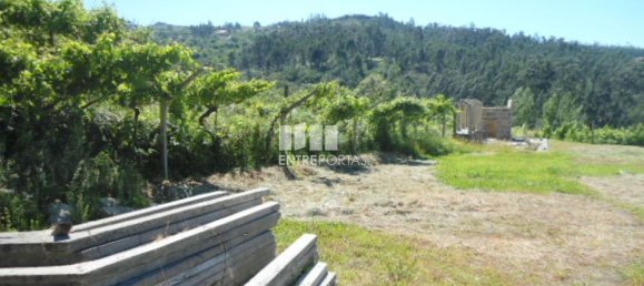 1 Schlafzimmer Haus in Marco de Canaveses, Portugal, Nr. 52097 13