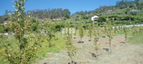 1 Schlafzimmer Haus in Marco de Canaveses, Portugal, Nr. 52097 16