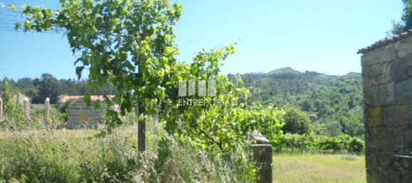 1 Schlafzimmer Haus in Marco de Canaveses, Portugal, Nr. 52097 28