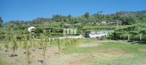 1 Schlafzimmer Haus in Marco de Canaveses, Portugal, Nr. 52097 17