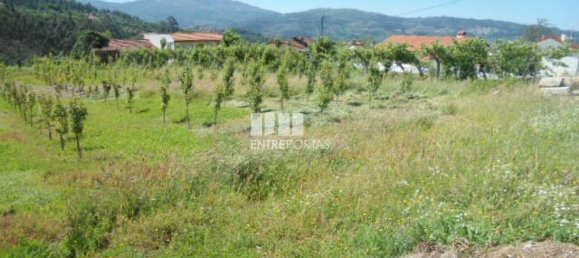 1 Schlafzimmer Haus in Marco de Canaveses, Portugal, Nr. 52097 11