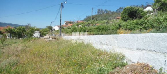 1 Schlafzimmer Haus in Marco de Canaveses, Portugal, Nr. 52097 12