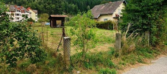 Земельный участок в Вайтенсфельд им Гуркталь, Австрия № 228218 4