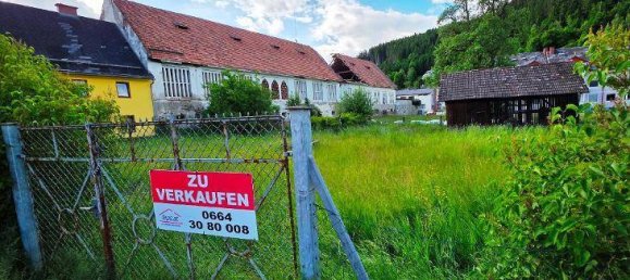 Земельный участок в Вайтенсфельд им Гуркталь, Австрия № 228218 2