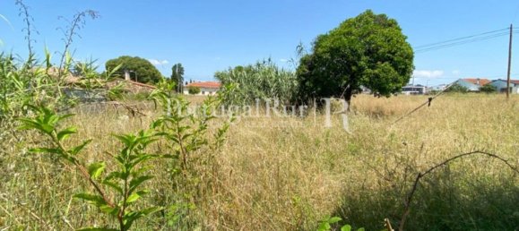 8700m² Land in Coimbra, Portugal No. 132161 11