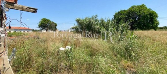 8700m² Land in Coimbra, Portugal No. 132161 12
