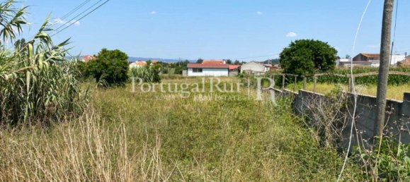 8700m² Land in Coimbra, Portugal No. 132161 17