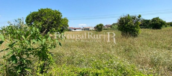 8700m² Land in Coimbra, Portugal No. 132161 15