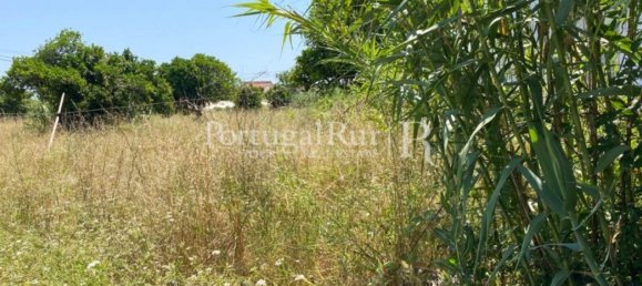 8700m² Land in Coimbra, Portugal No. 132161 10