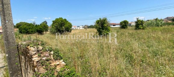 8700m² Land in Coimbra, Portugal No. 132161 16