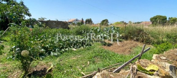 8700m² Land in Coimbra, Portugal No. 132161 3