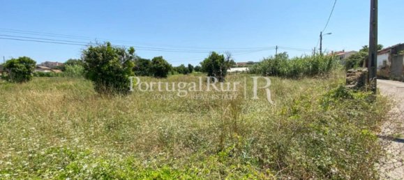 8700m² Land in Coimbra, Portugal No. 132161 2