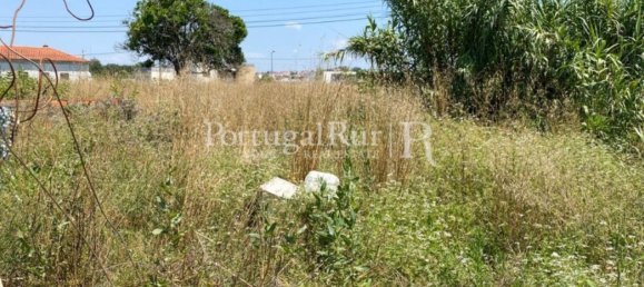 8700m² Land in Coimbra, Portugal No. 132161 8