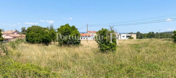 8700m² Land in Coimbra, Portugal No. 132161 20