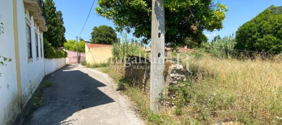 8700m² Land in Coimbra, Portugal No. 132161 14