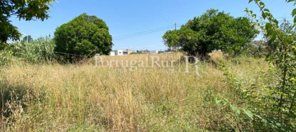 8700m² Land in Coimbra, Portugal No. 132161 22
