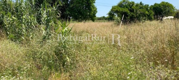 8700m² Land in Coimbra, Portugal No. 132161 9