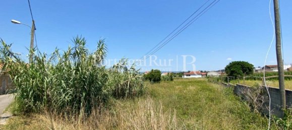 8700m² Land in Coimbra, Portugal No. 132161 19