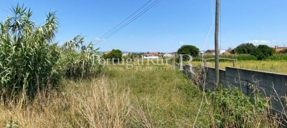 8700m² Land in Coimbra, Portugal No. 132161 18