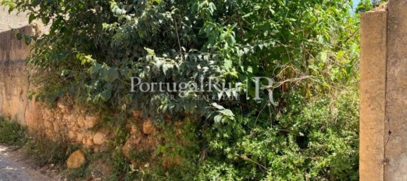 8700m² Land in Coimbra, Portugal No. 132161 6