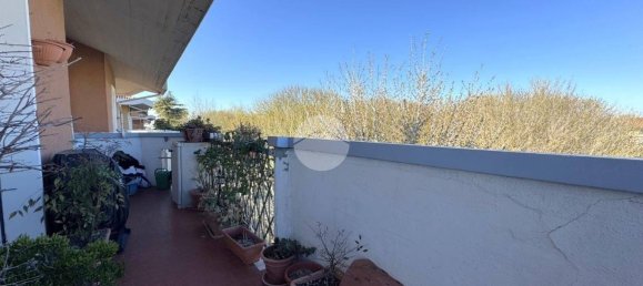 2 bedrooms Apartment in San Mauro Pascoli, Italy No. 52513 12