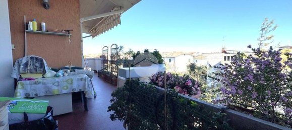 2 bedrooms Apartment in San Mauro Pascoli, Italy No. 52513 10