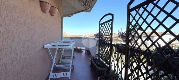 2 bedrooms Apartment in San Mauro Pascoli, Italy No. 52513 14