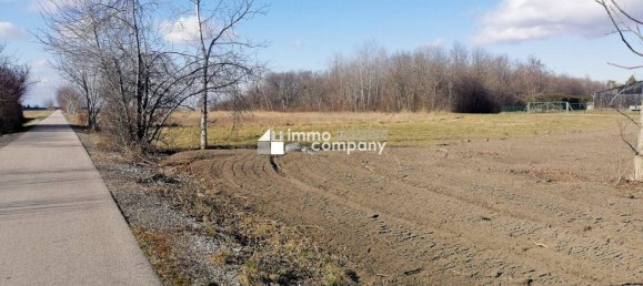 Land in Engelhartstetten, Austria No. 90716 2