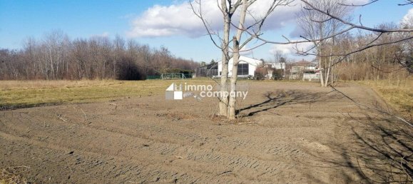 Land in Engelhartstetten, Austria No. 90716 4