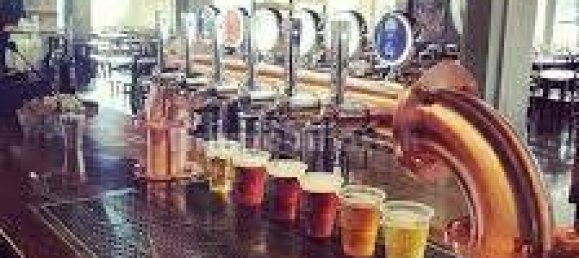 1-Zimmer Gewerbliche Immobilie in Udine, Italy, Nr. 294010 3