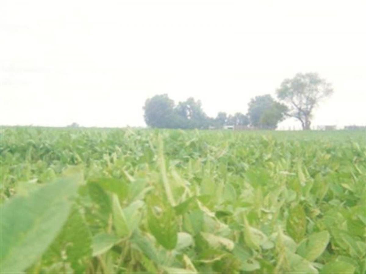 Grundstück in General Alvear, Argentina, Nr. 40014