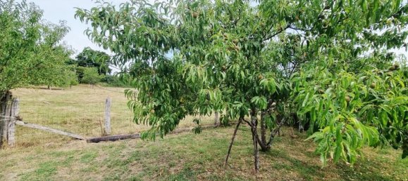 3 Schlafzimmer Haus in Haute-Marne, France, Nr. 306178 4